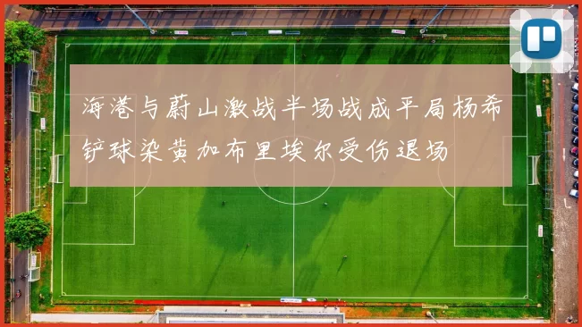 海港与蔚山激战半场战成平局杨希铲球染黄加布里埃尔受伤退场